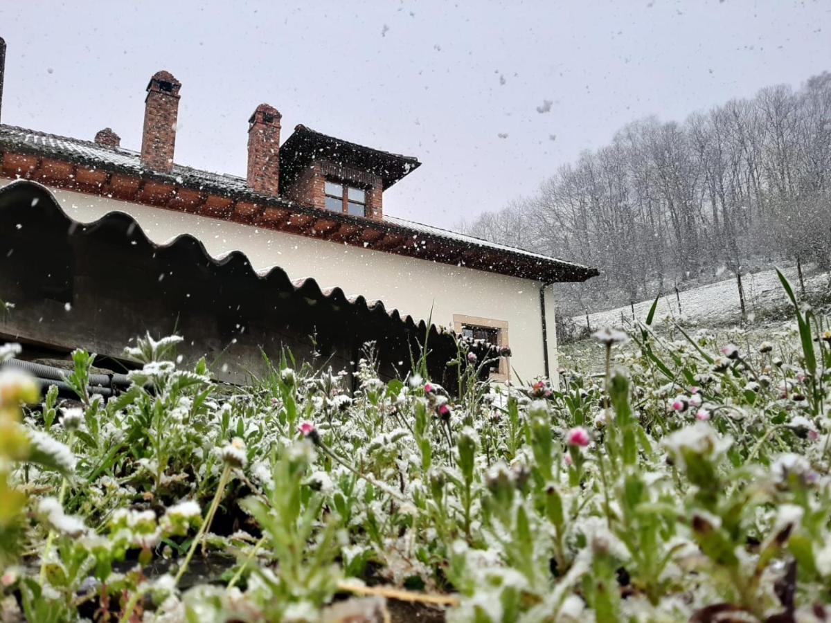 Hotel Rural El Rexacu Bobia de Arriba 외부 사진